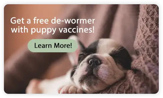 Get a free dewormer with puppy vaccines!