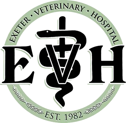 Exeter Veterinary Hospital