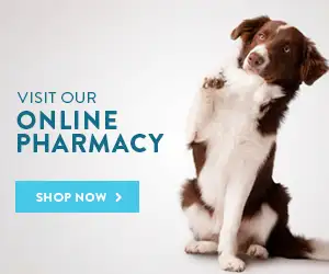 Visit our Online Pharmacy - Shop Now!