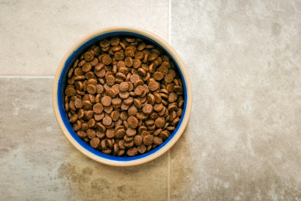 A picture of a blue bowl of dog food.
